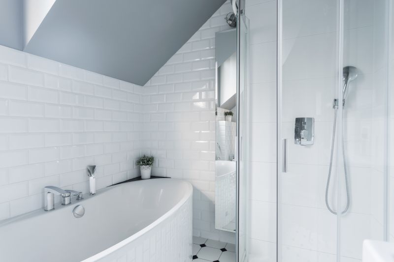 Bathtub to Shower Conversion